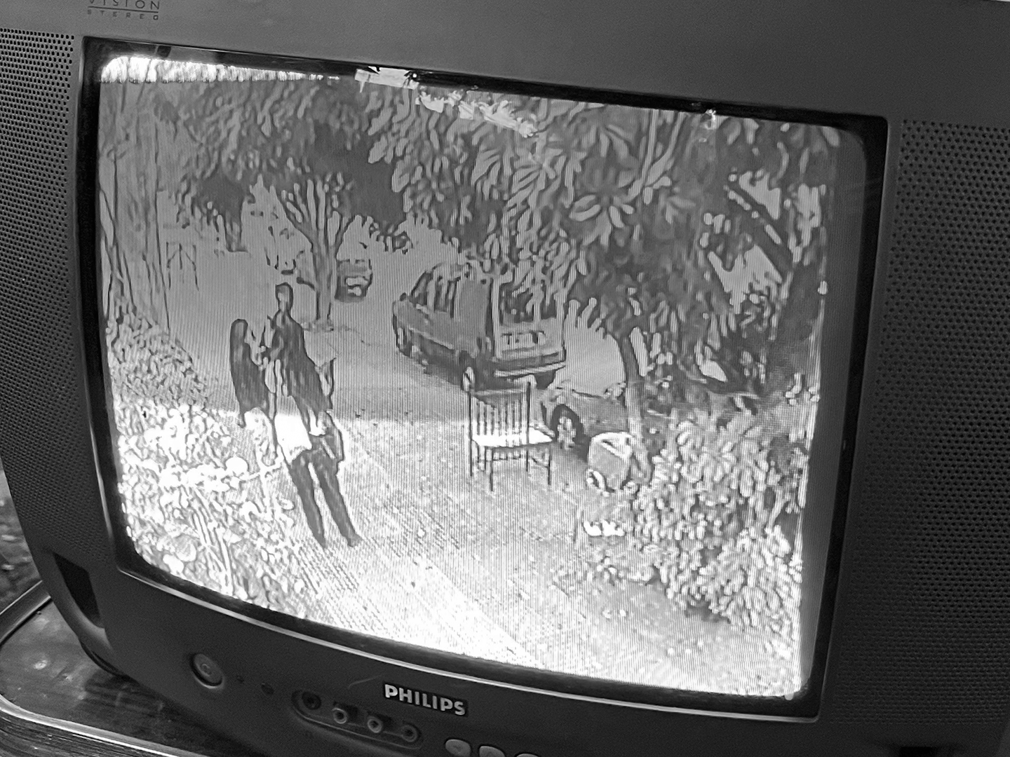 Pase y vea, captura 13