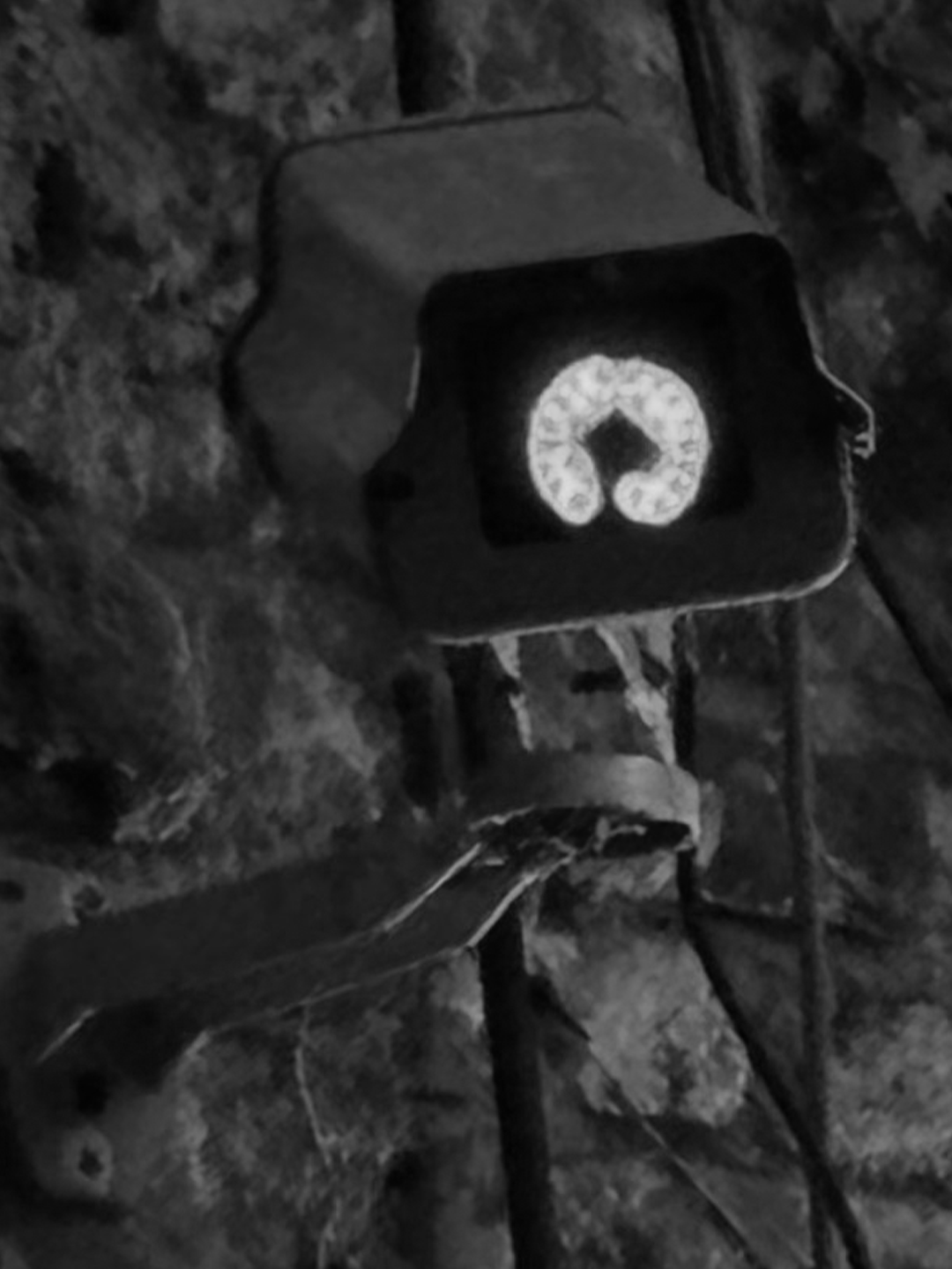 Pase y vea, captura 9