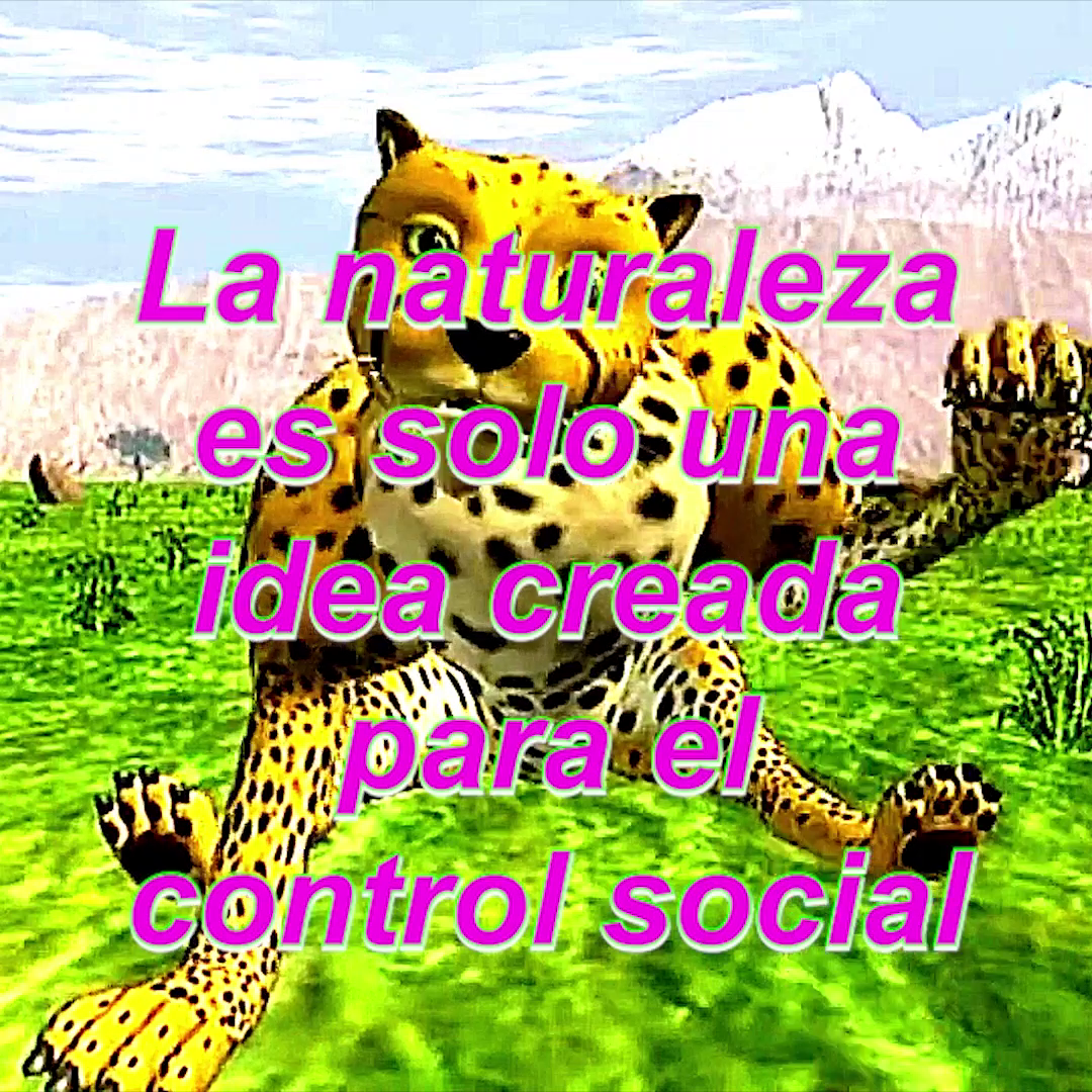 NFT, meme 6